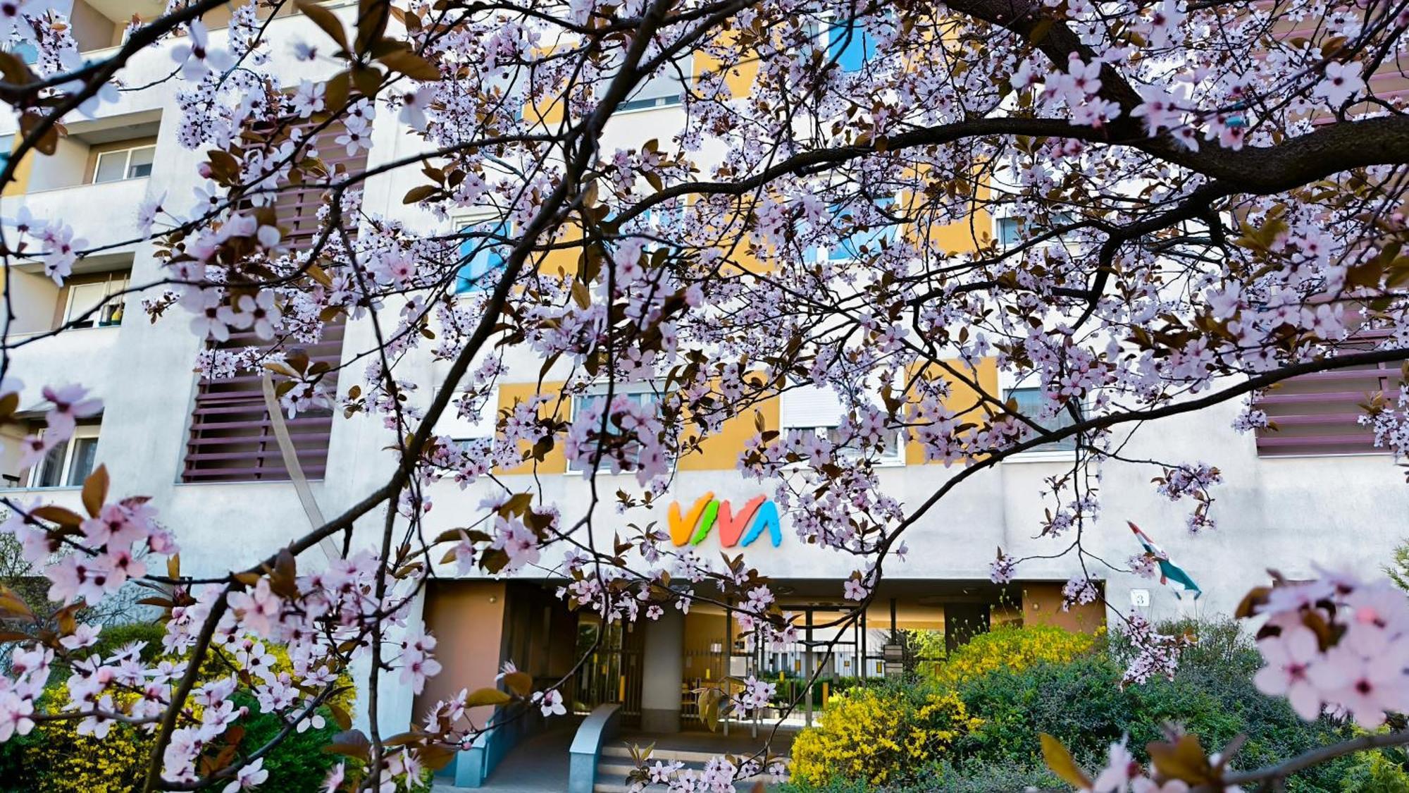 Viva - Cosy Flat In - Free Parking Apartman Budapest