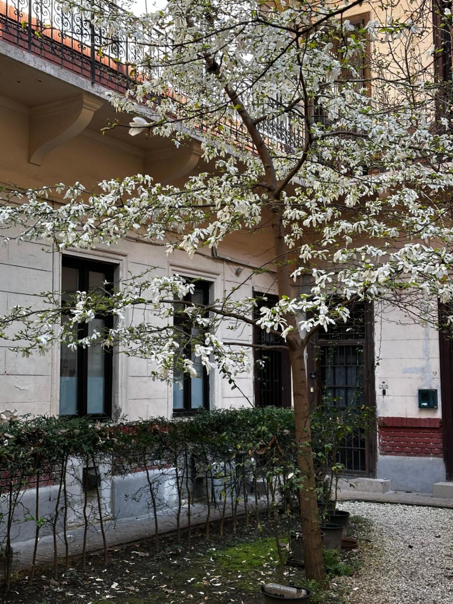 Appartement Stylish Natural With Sauna - Heroes Square *