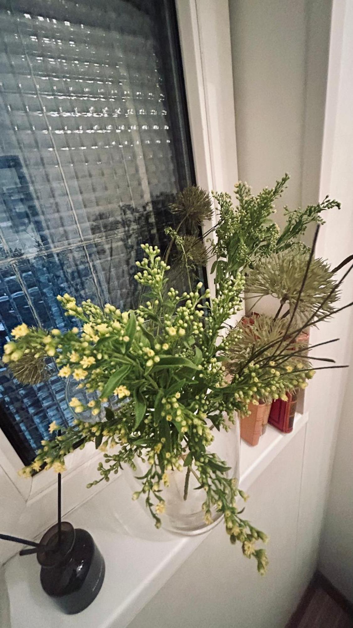 Apartamento Little Oasis Close To The Opera *