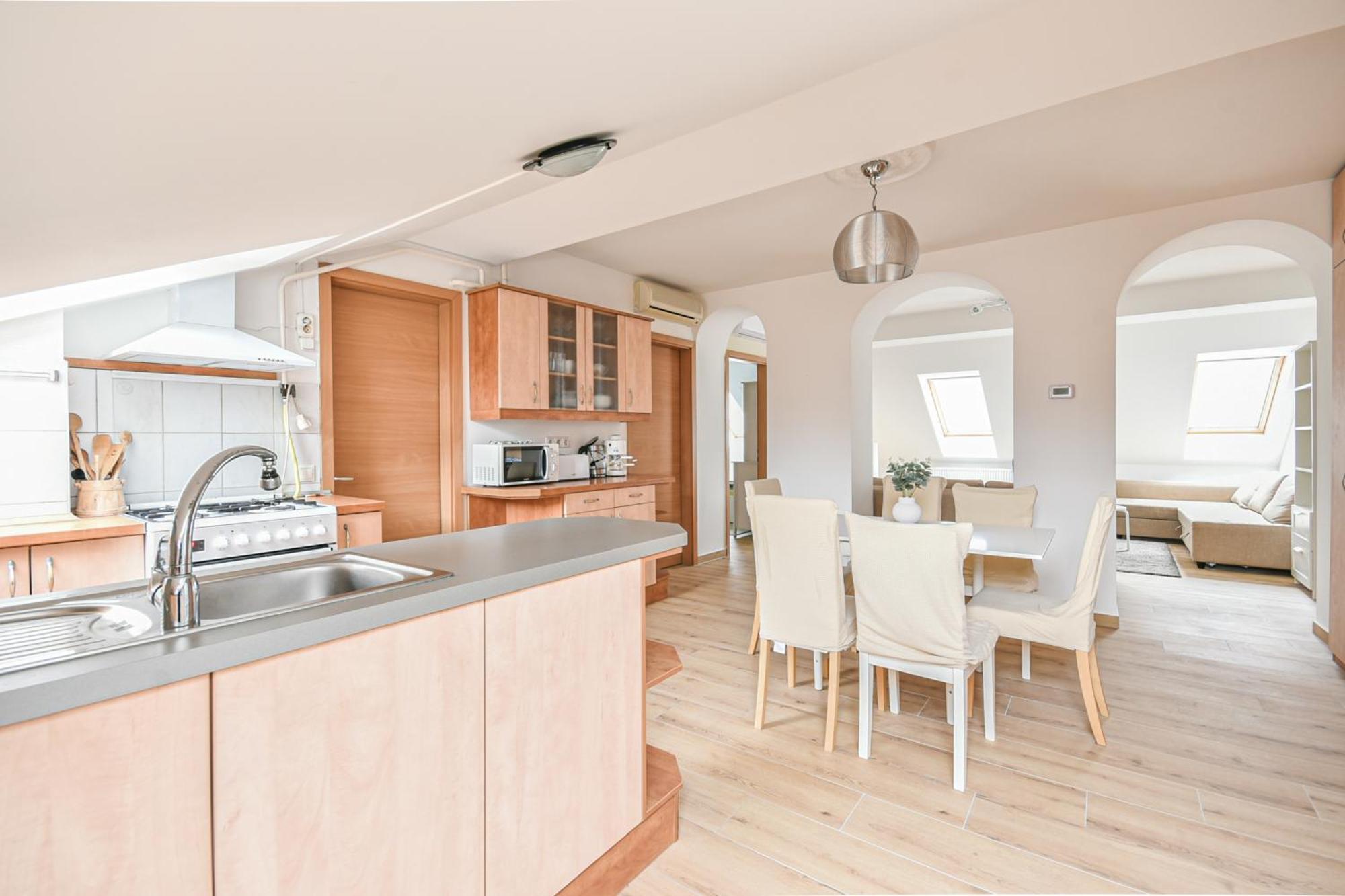 Roof Top Penthouse Apartment Budapest