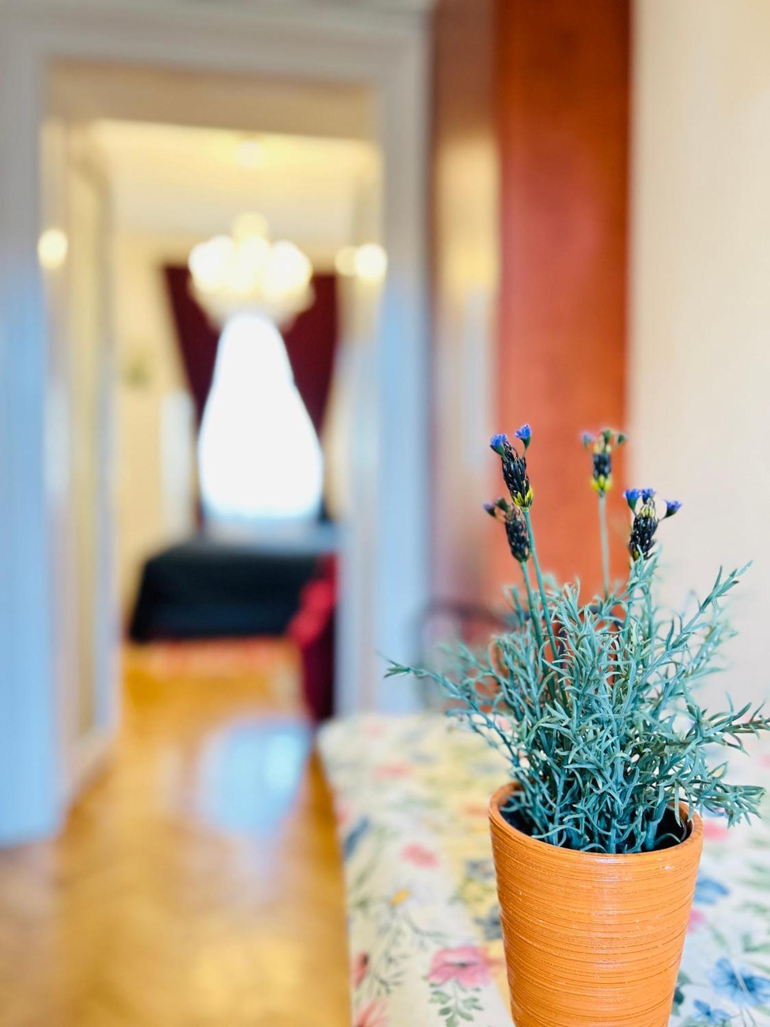 Rakoczi Boulevard 47 Appartement Budapest