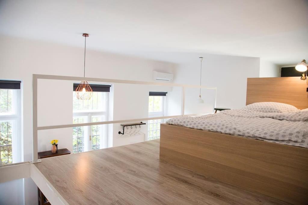 Bright Artist Loft W Terrace Budapest