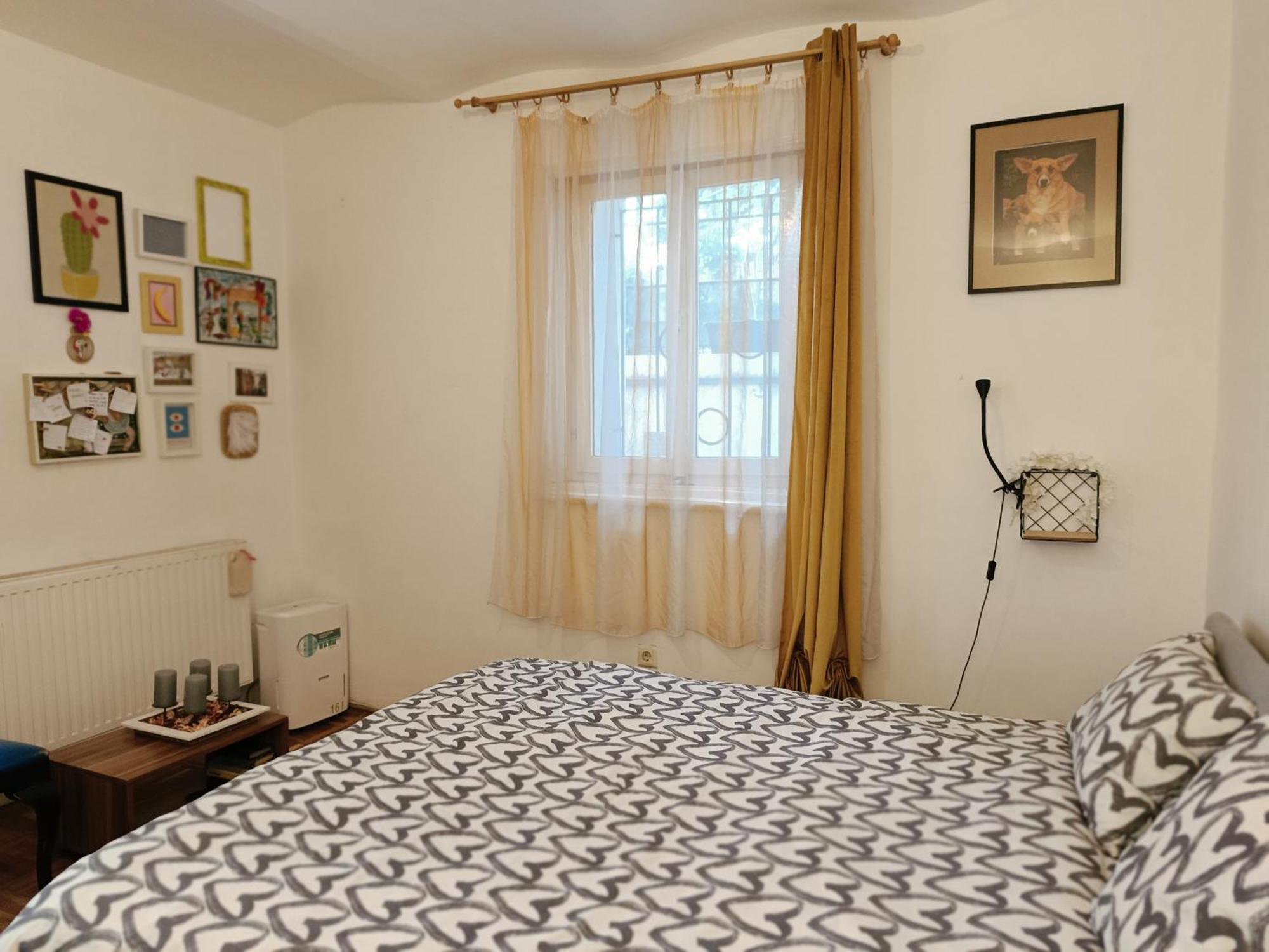 Apartment Flat In Historic With Your Own Private Garden, Near City Park *