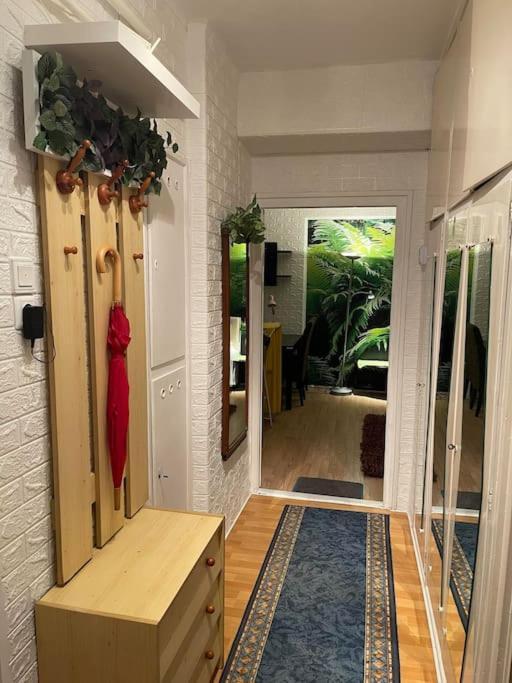 Apartamento Vacigreen