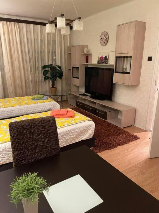 Apartamento Vacigreen Budapest