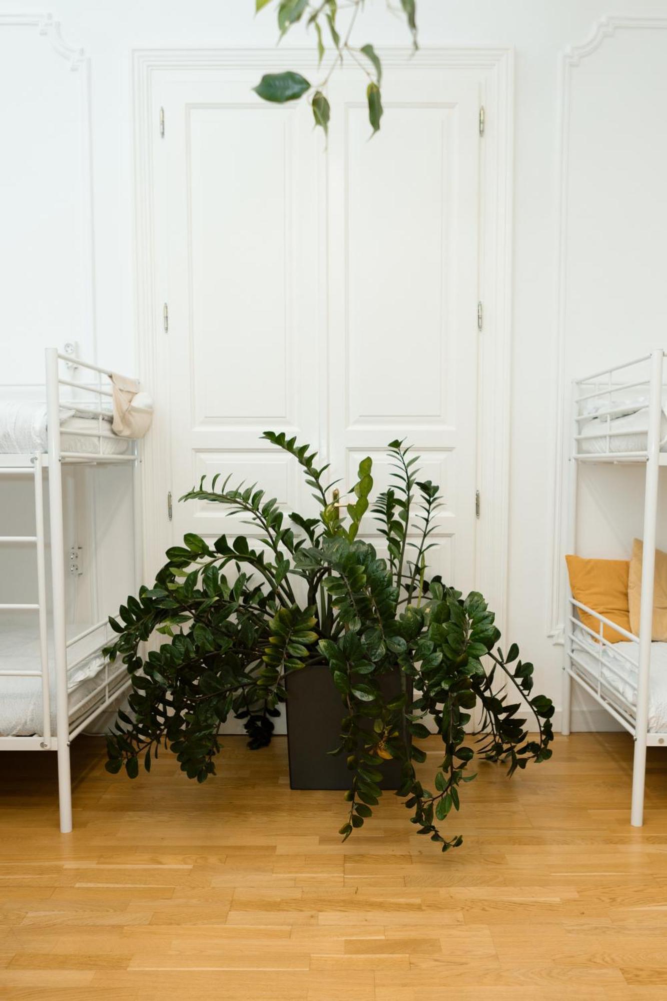 Apartmán Jupiter Buda