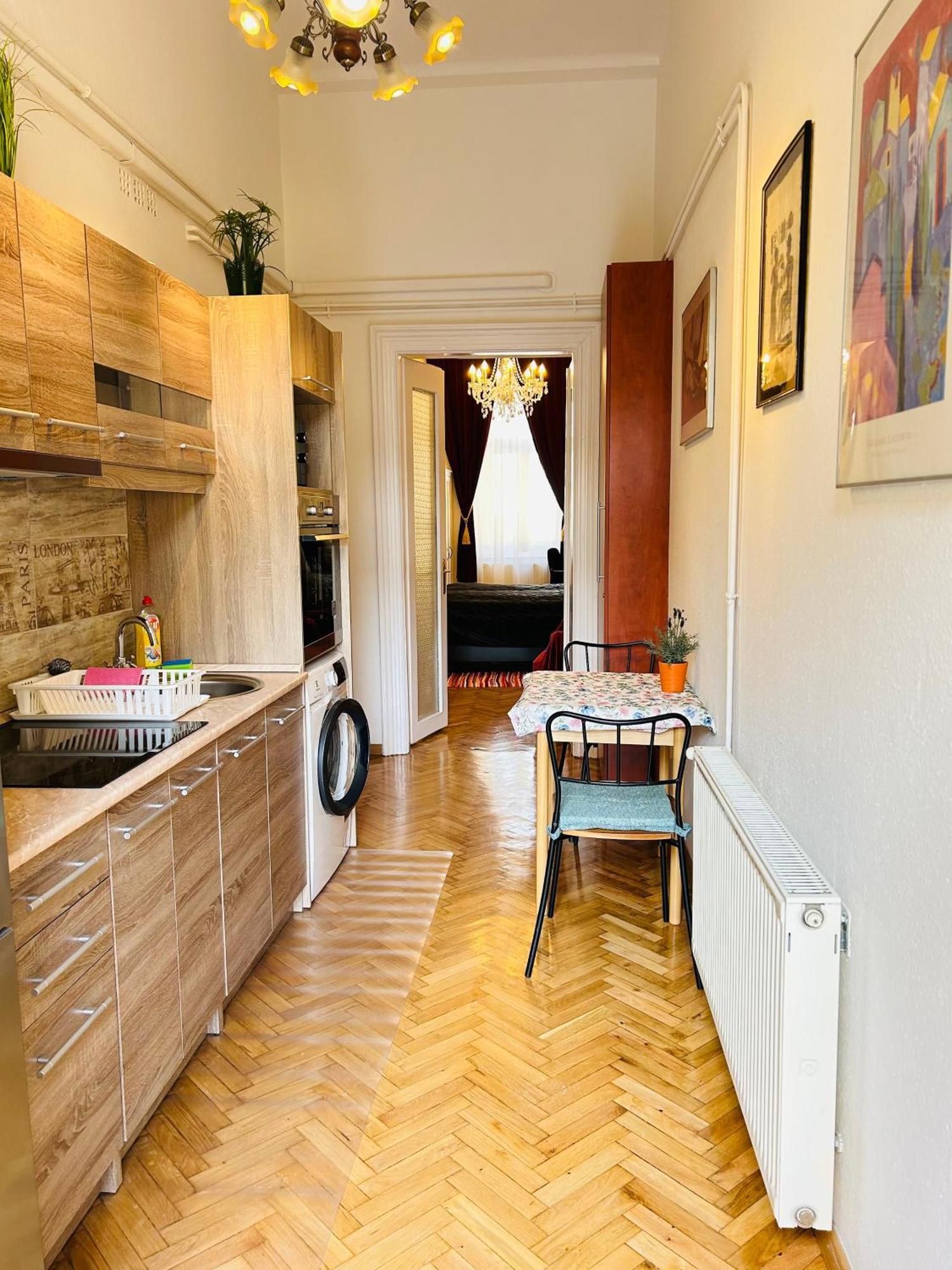 Rakoczi Boulevard 47 Apartament Budapeszt