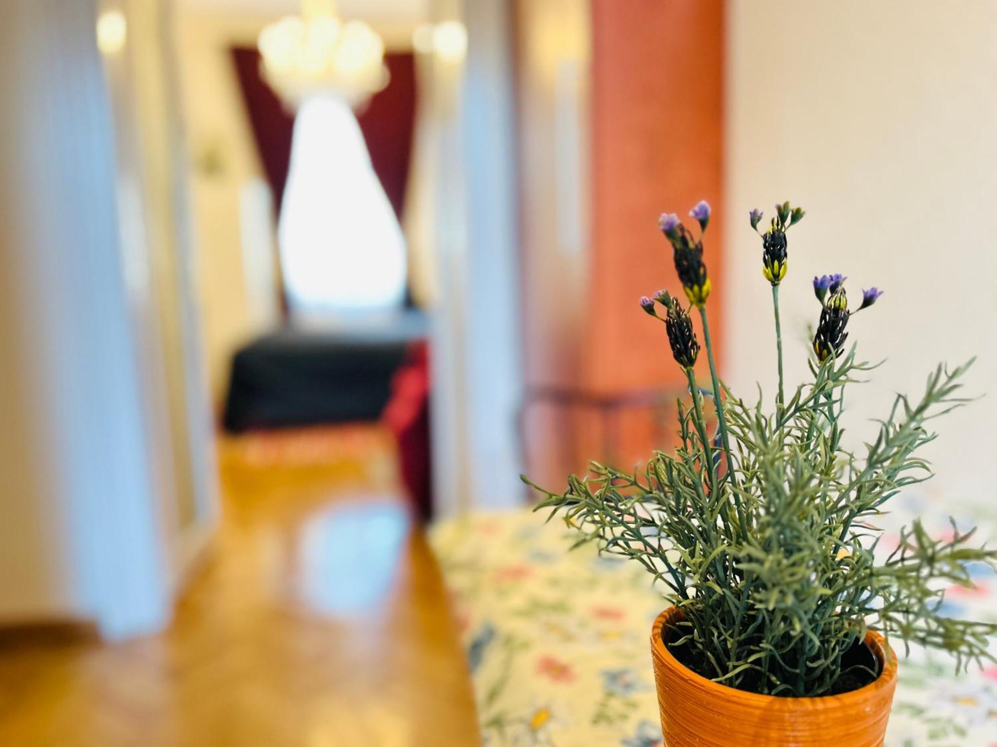 Rakoczi Boulevard 47 Apartament *