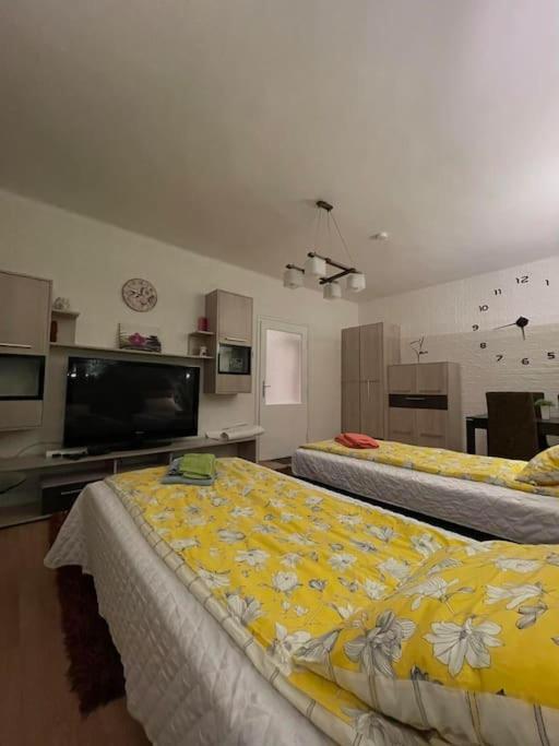 Apartamento Vacigreen