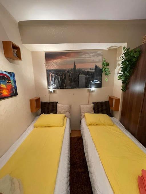Apartamento Vacigreen *