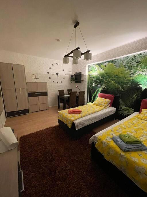 Apartamento Vacigreen