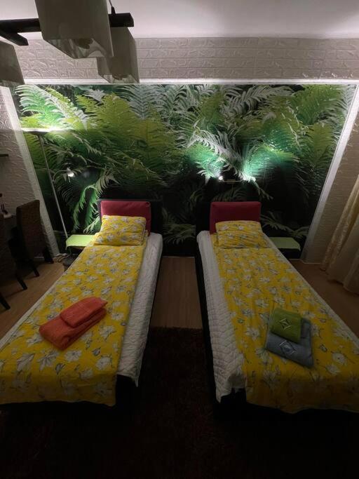 Vacigreen