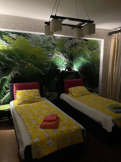 Vacigreen * Budapest