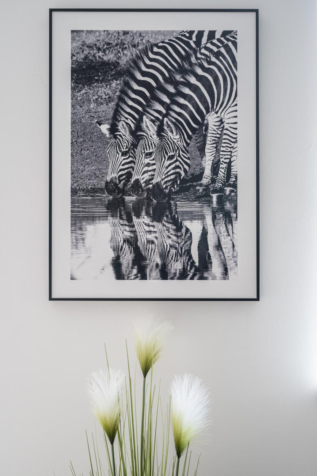 Apartamento Harmony Hideaway
