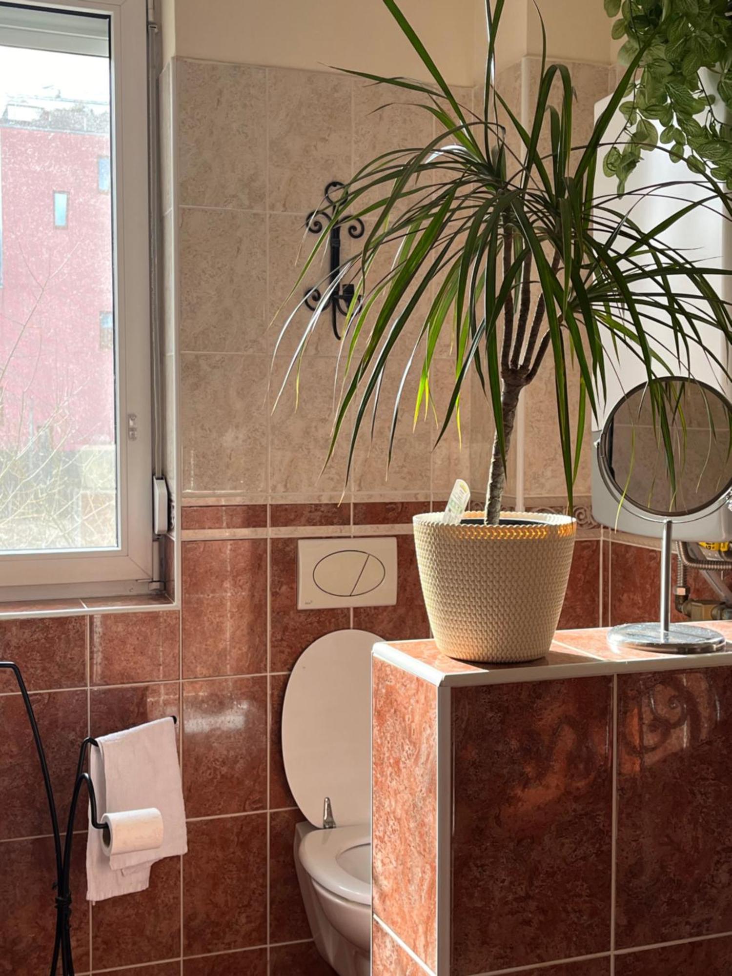 Kiraly Csaladi Apartman- Royal Family #freegarage Apartament *