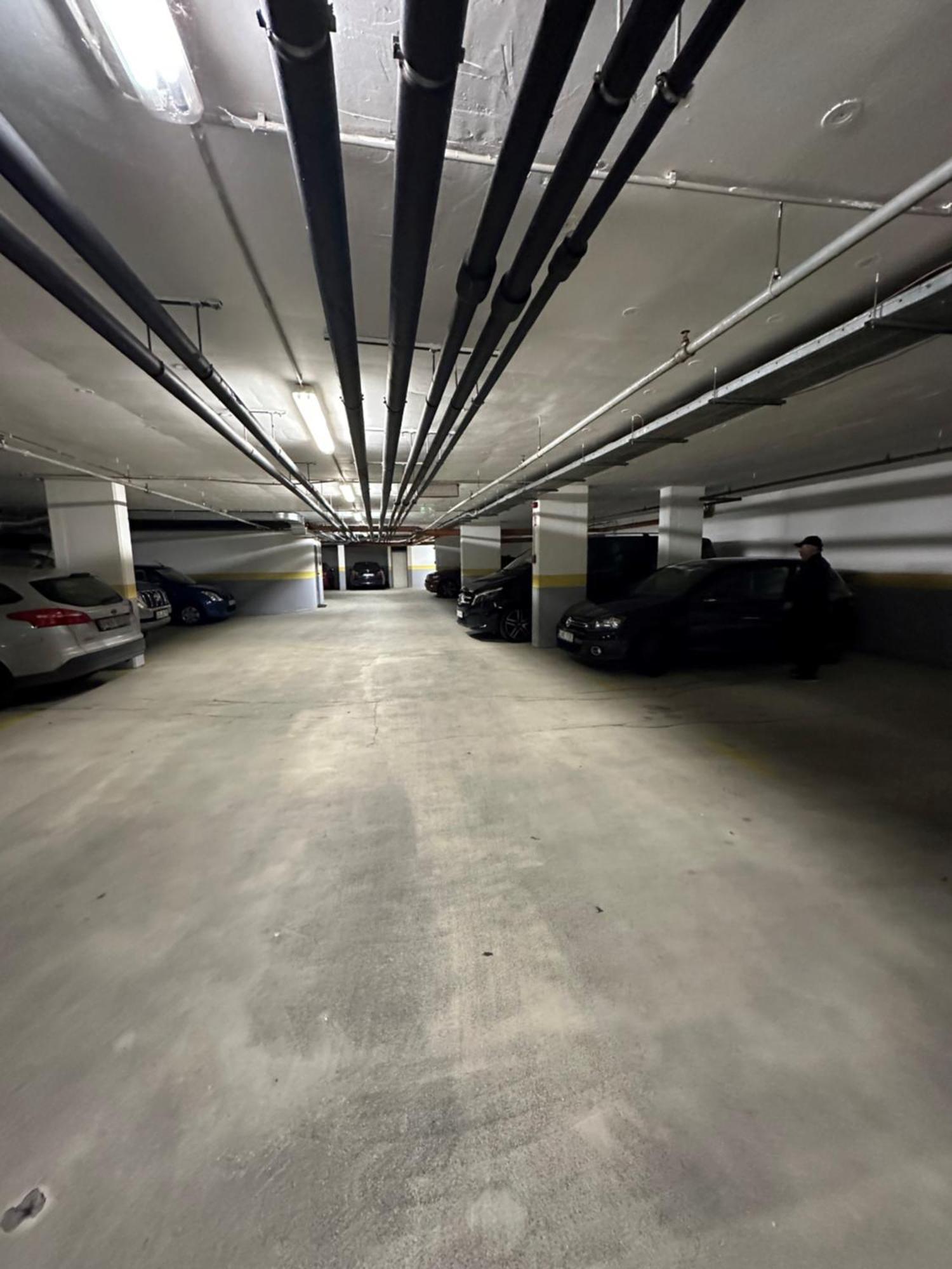 Peony Szekely Mihaly - Free Garage