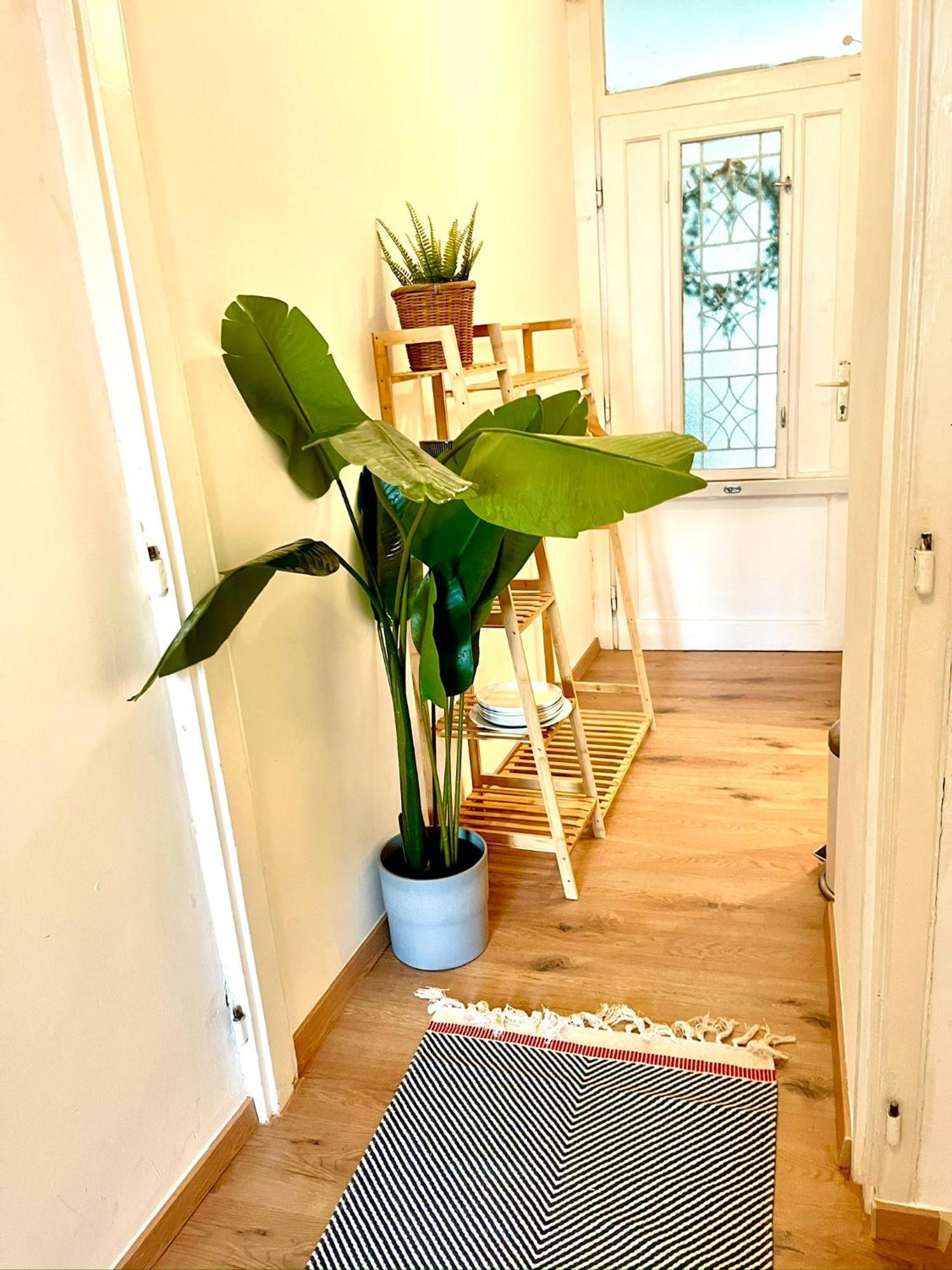 Apartment Boutique Studio Flat At City Center