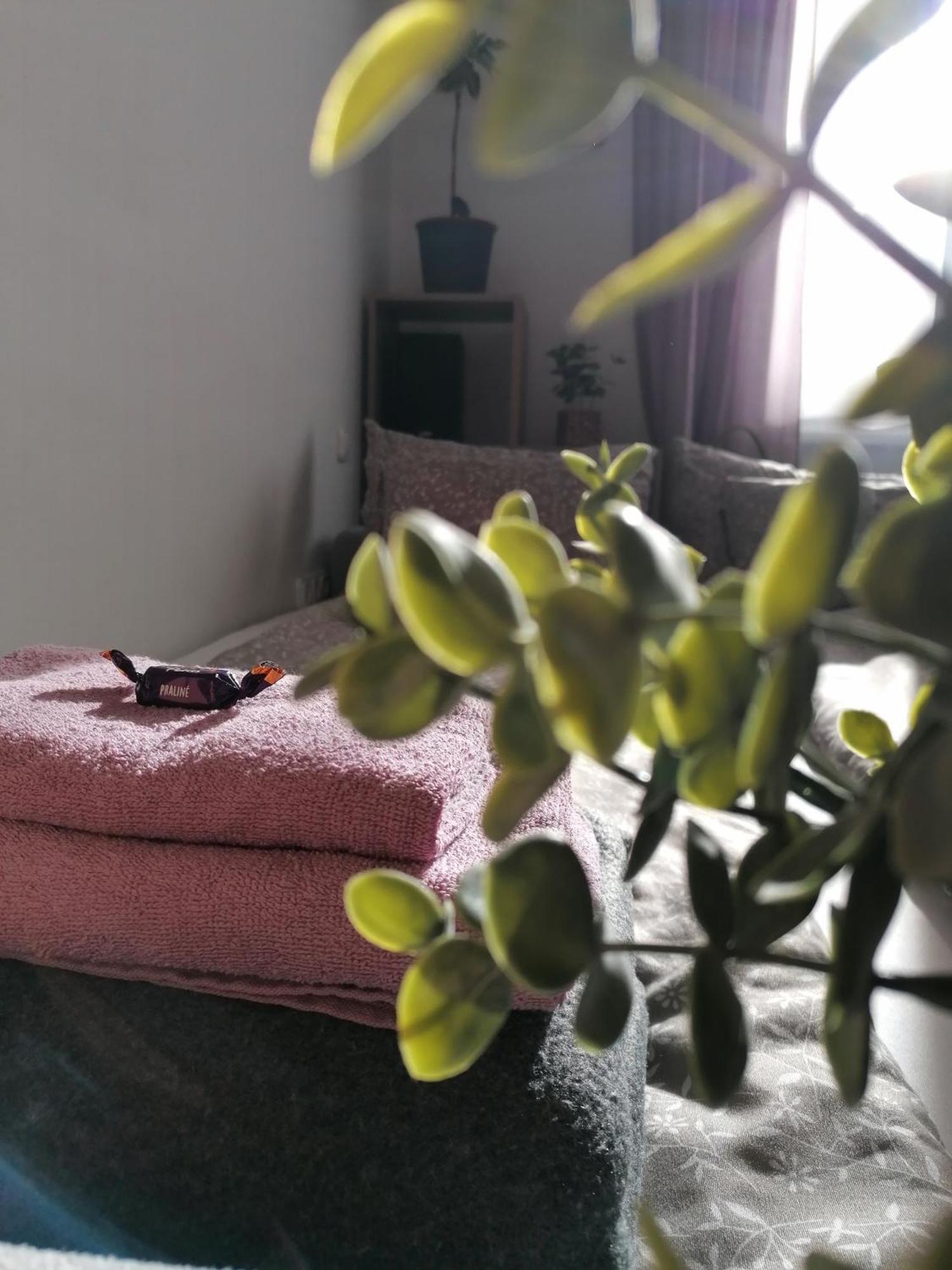 Apartmán A Jump From Downtown Budapest