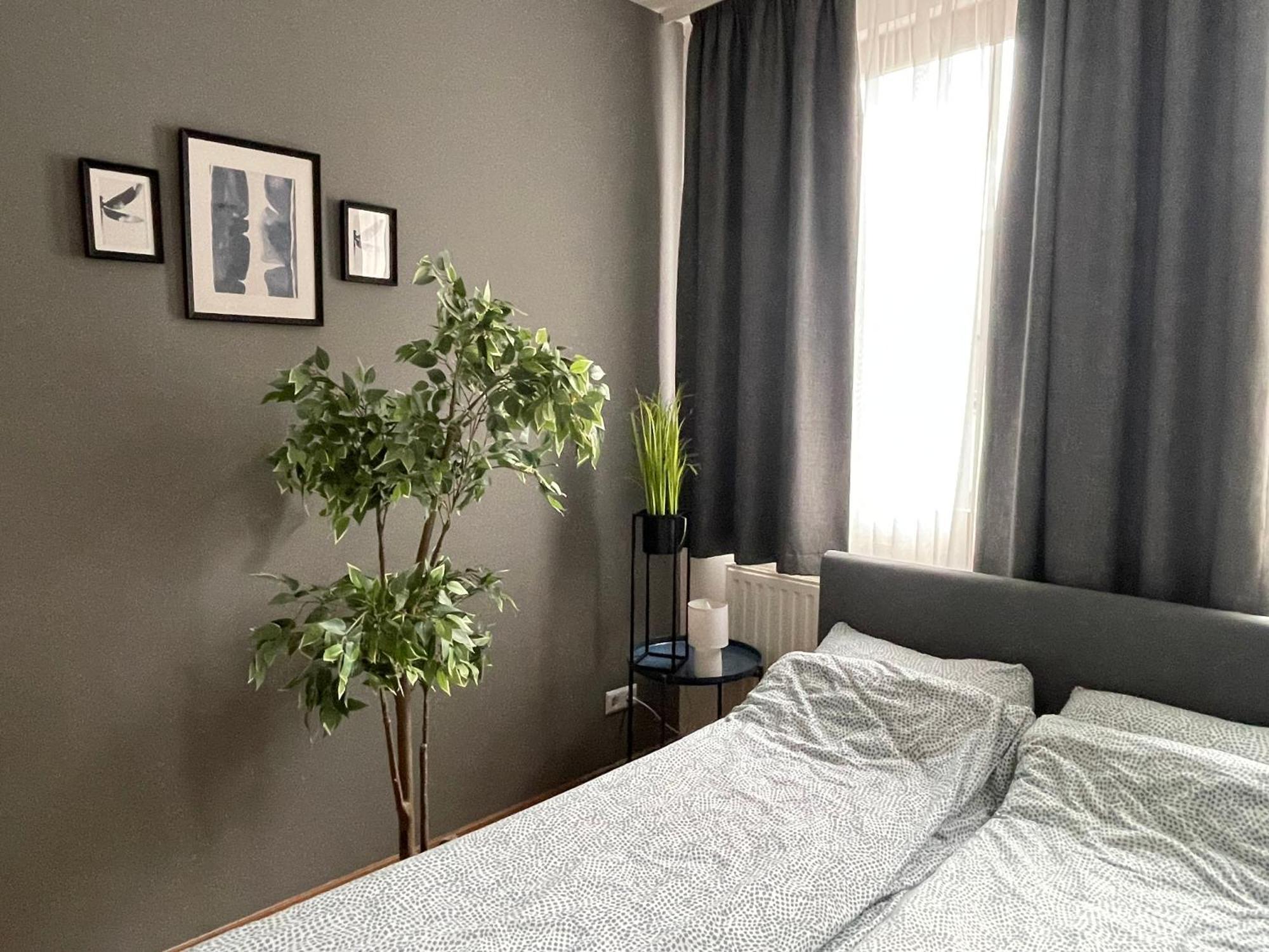 Apartment Bp-est Cp *