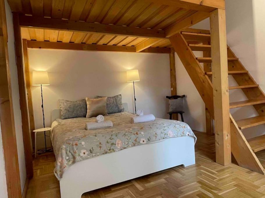 Lejlighed Knezits Spacious Ac Terrace Free Parking Budapest