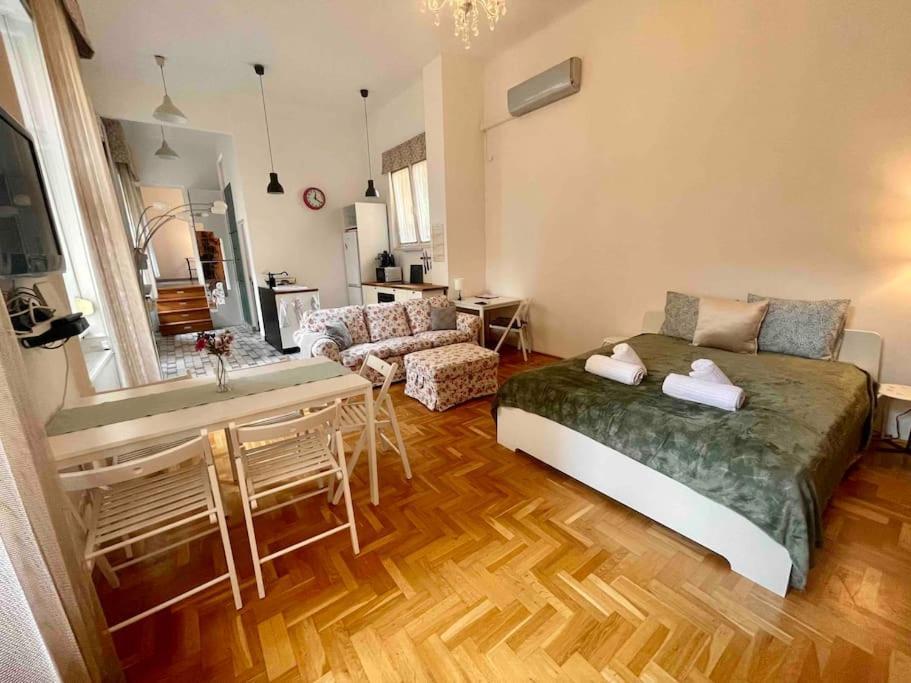 Knezits Spacious Ac Terrace Free Parking Lejlighed *