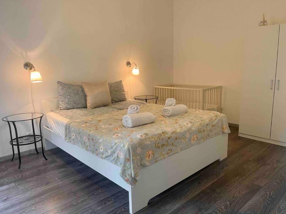 Knezits Spacious Ac Terrace Free Parking Lejlighed Budapest