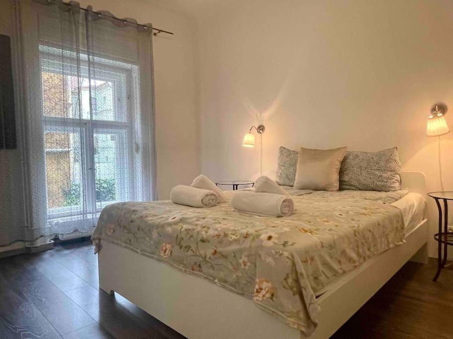 Knezits Spacious Ac Terrace Free Parking Lejlighed Budapest
