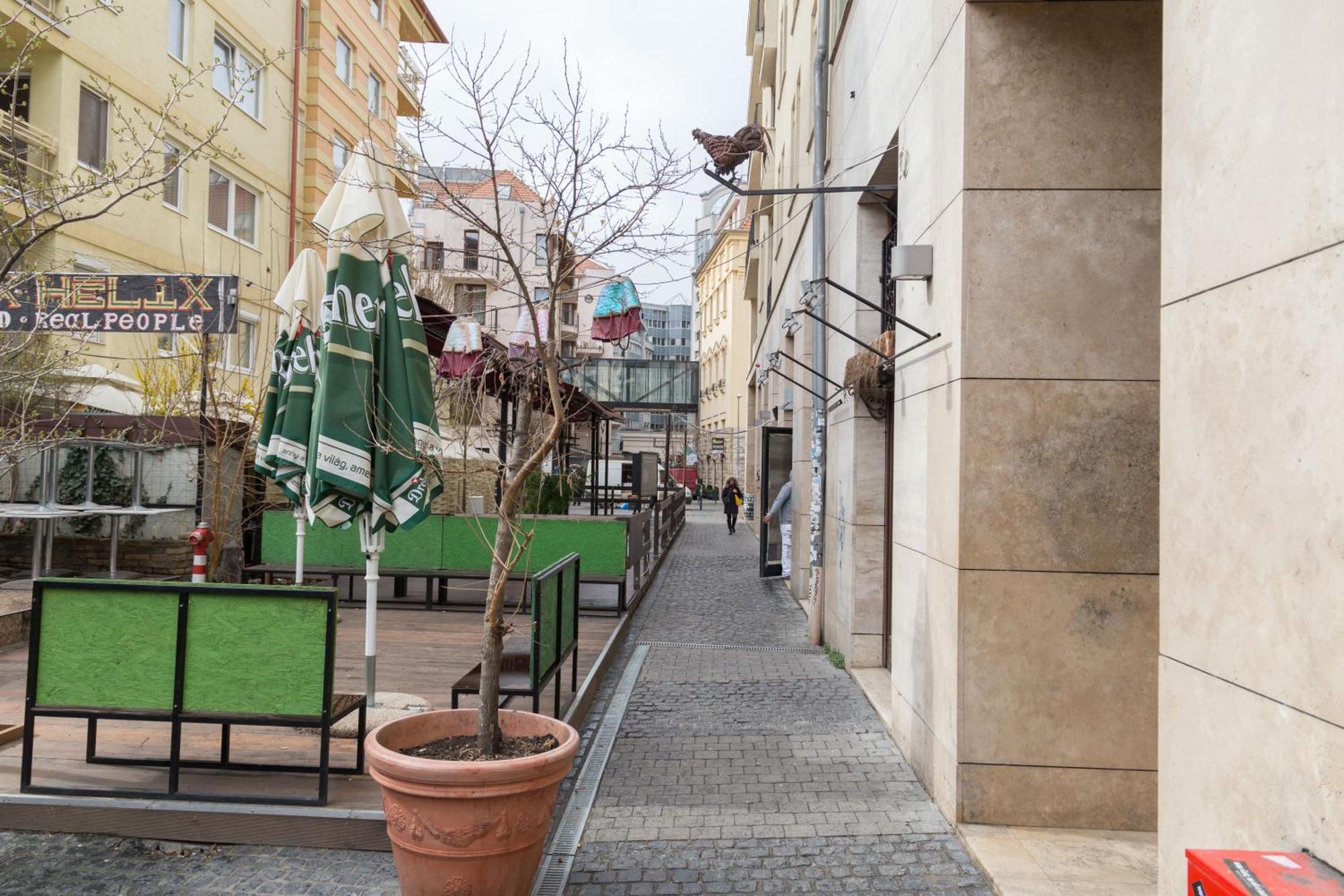 Friendly In The Downtown Appartamento