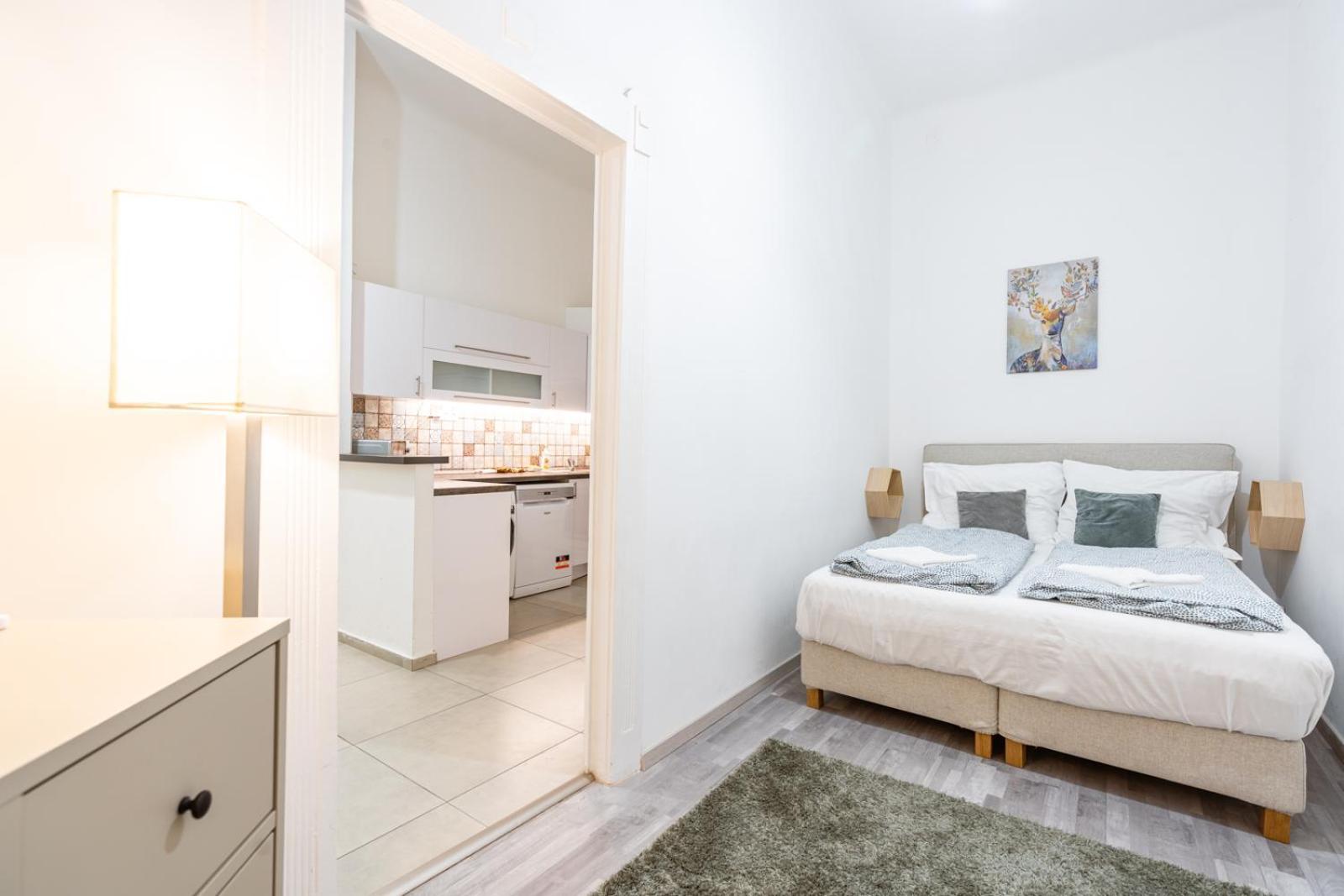 Spacious Premium Apartment By Buda Castle District