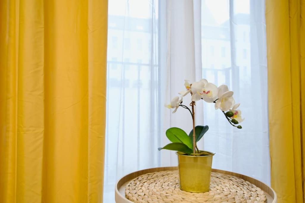 Standard By Hi5-horvath Mihaly Square Apartment Budapest