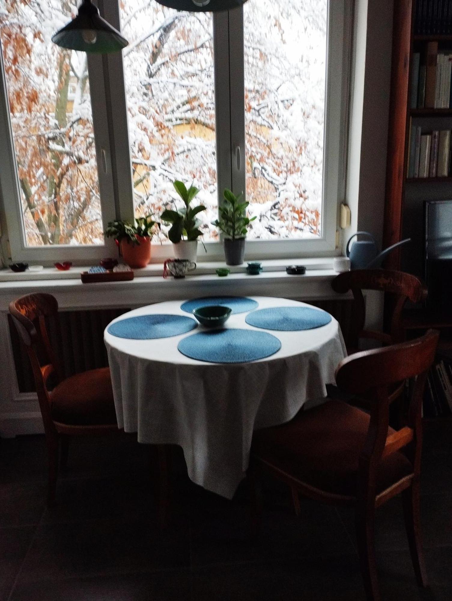 Apartament With Terrace Overlooking The Park *