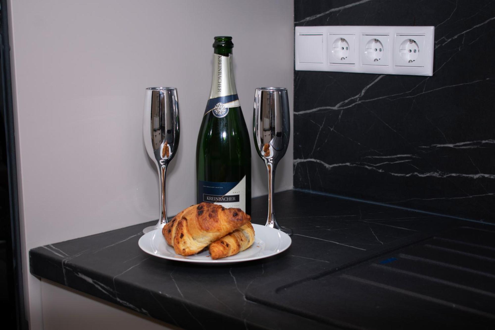 Luxury Cozy 2 Bdr Downtown Apt.4 Apartment