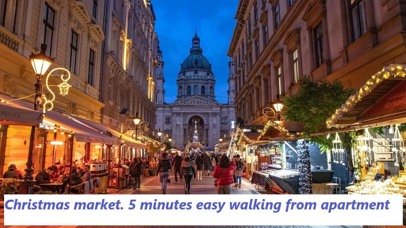 Appartement 2 Rooms Between Of Chain Bridge, Cathedral, Parlament,Castle Area Budapest