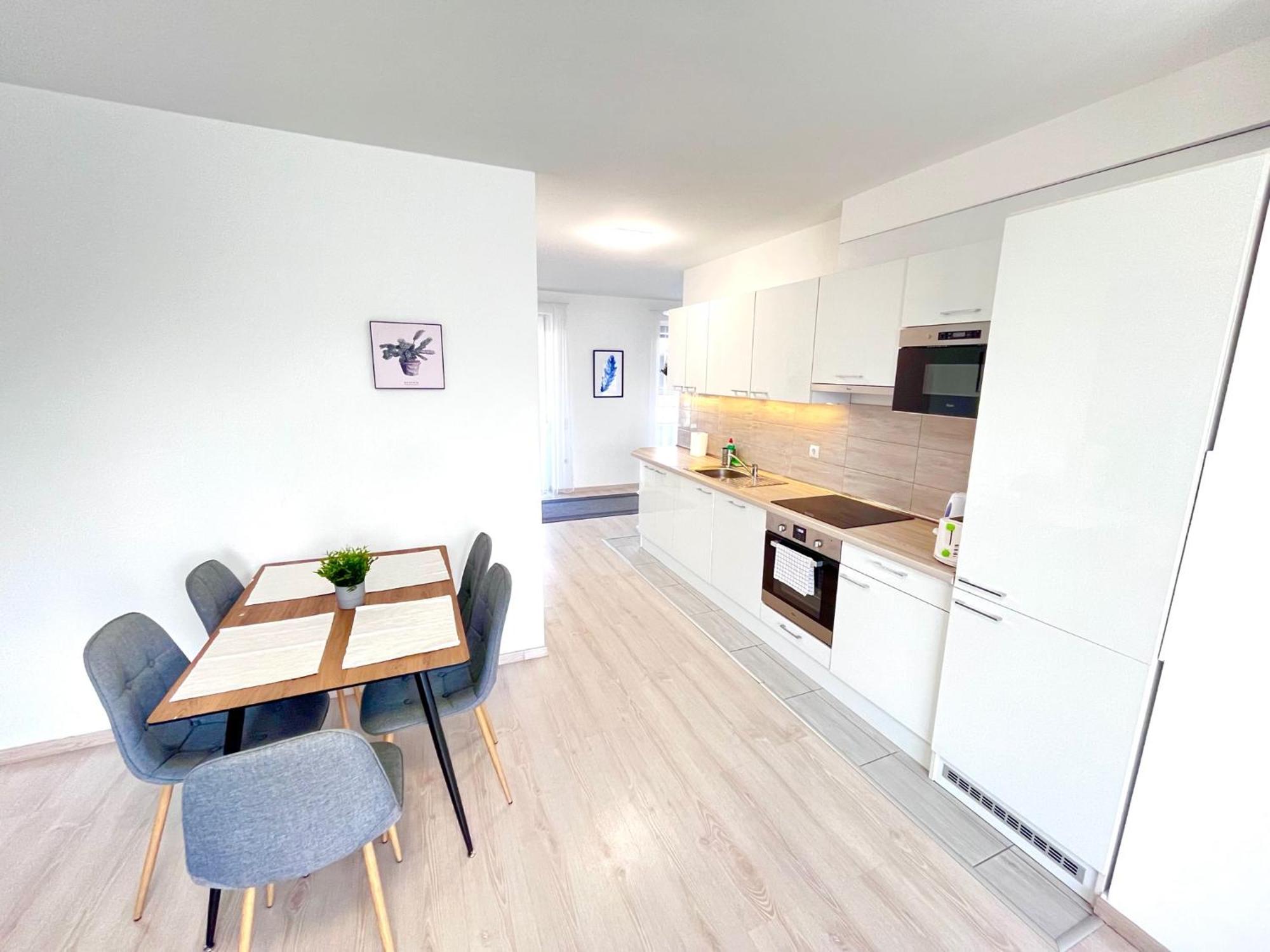 Downtown Residences Leo - Ac, Elevator, Terrace Appartement *