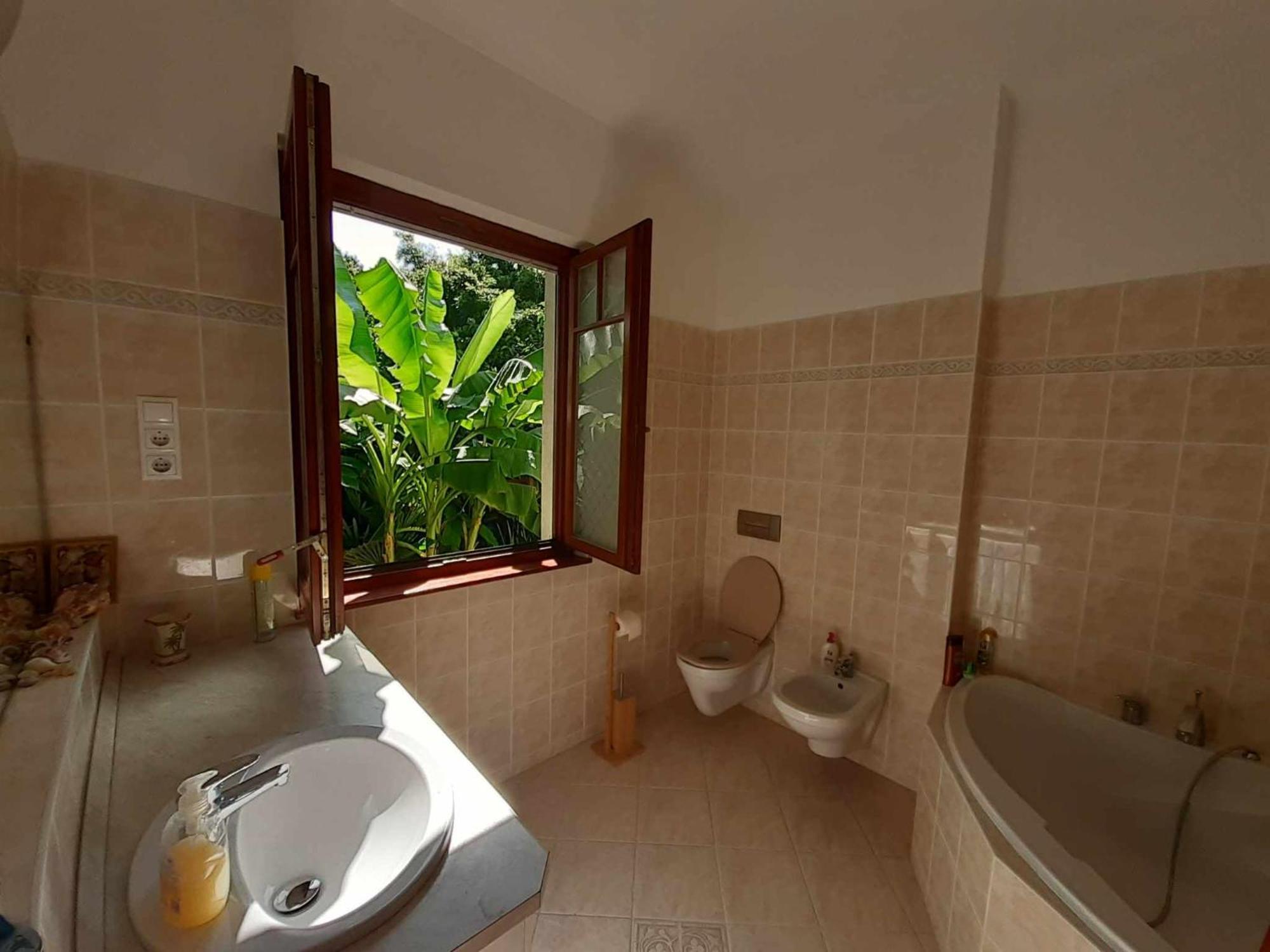 House W Little Tropical Garden Budapest