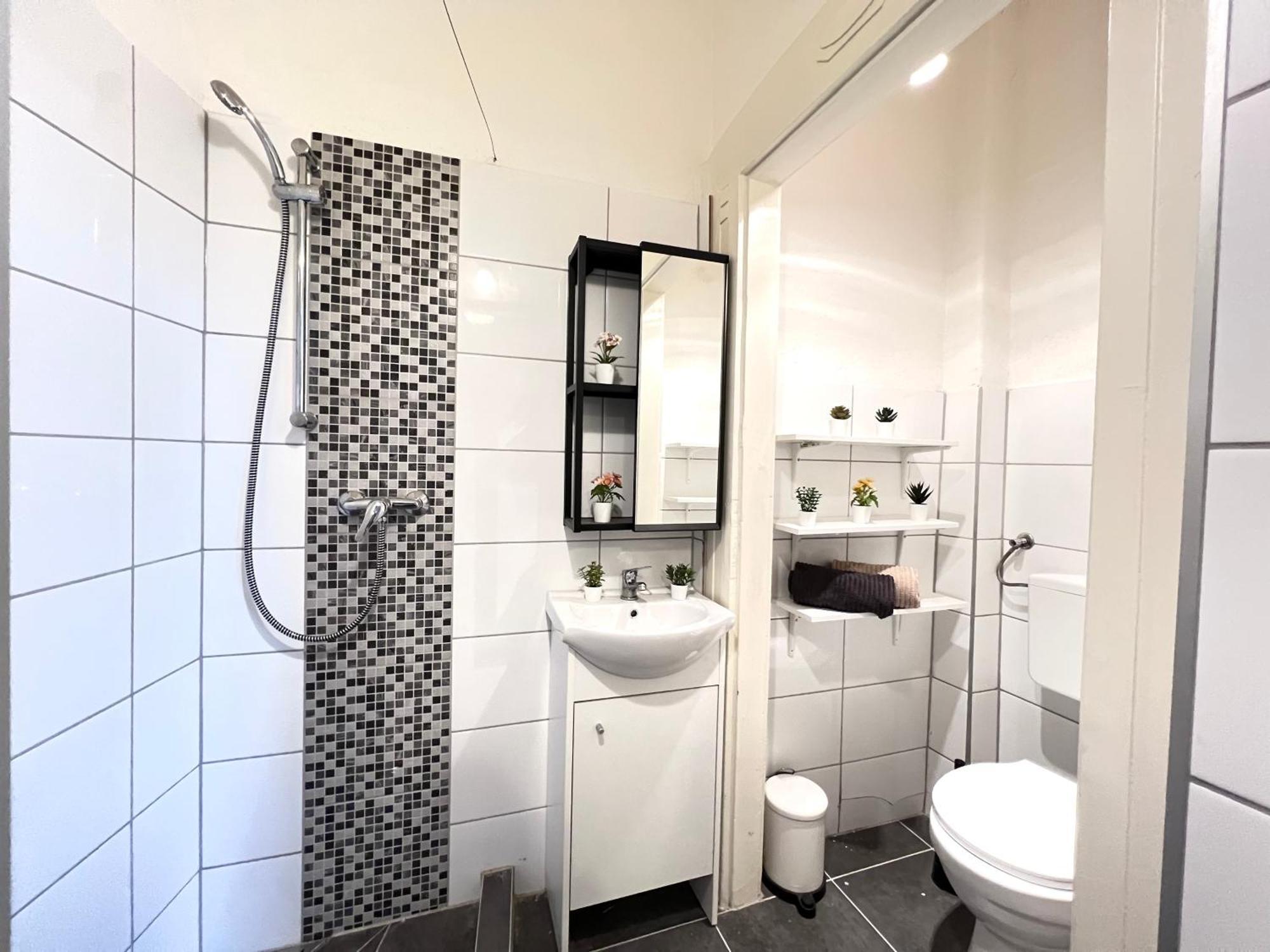 Apartment Rakoczi