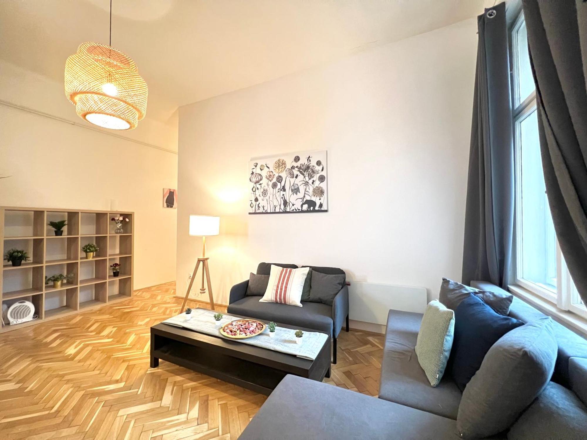 Apartment Rakoczi