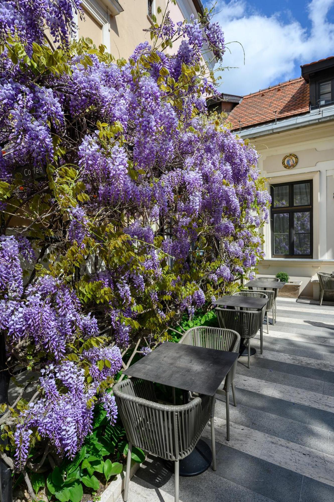 Maison Bistro &