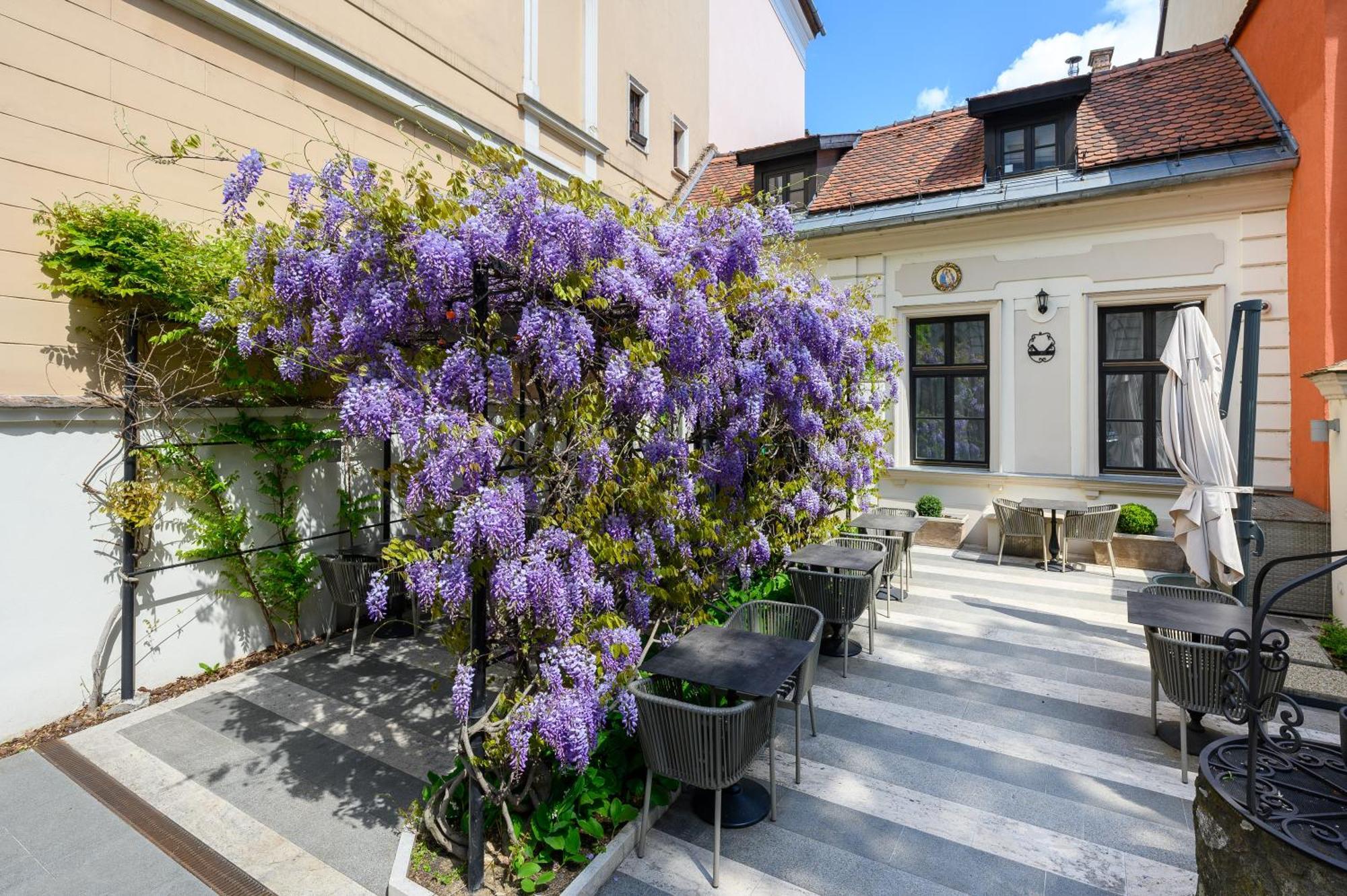 Maison Bistro&hotel Hotel 4*