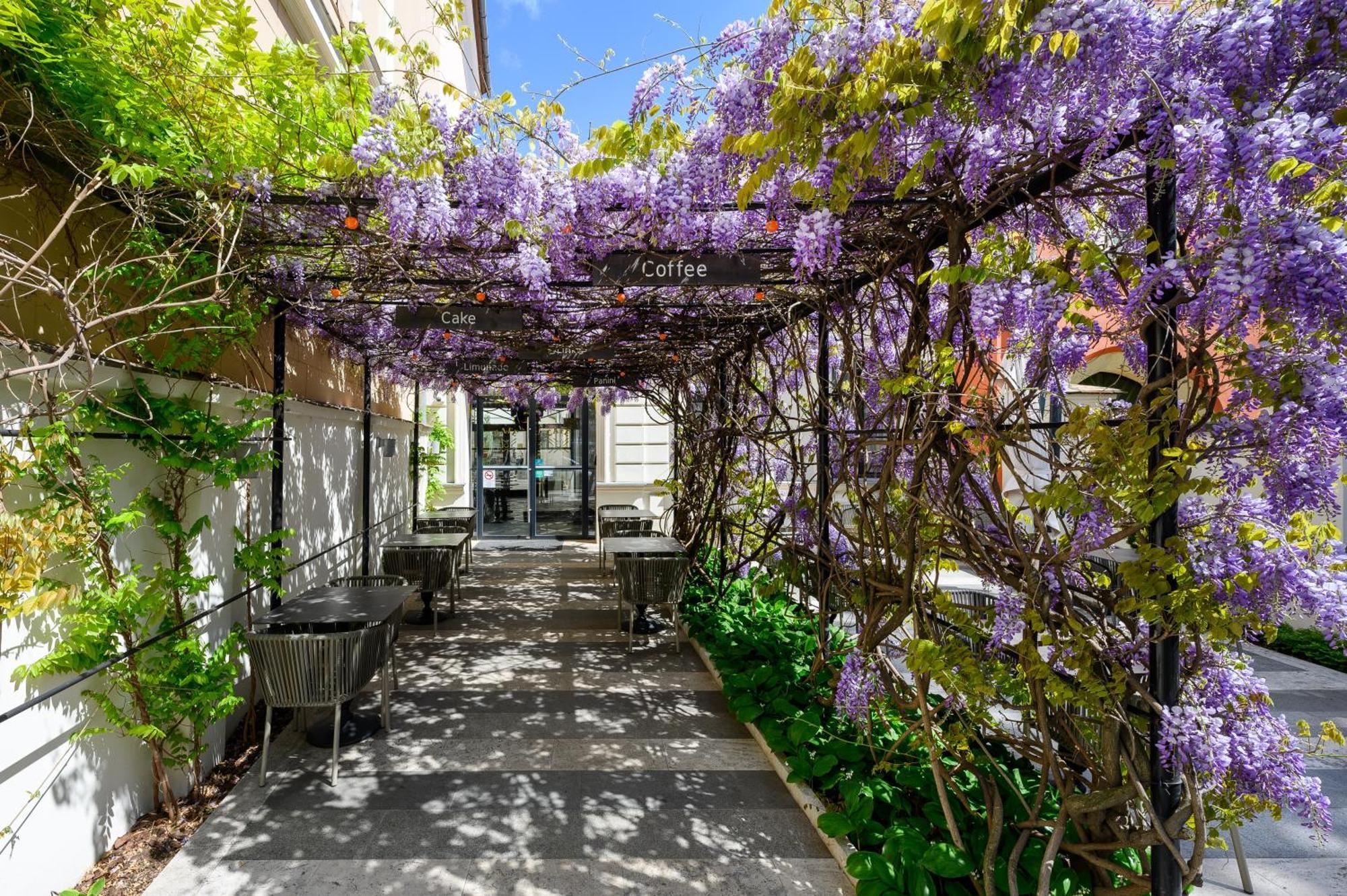 Maison Bistro & Hotel 4*