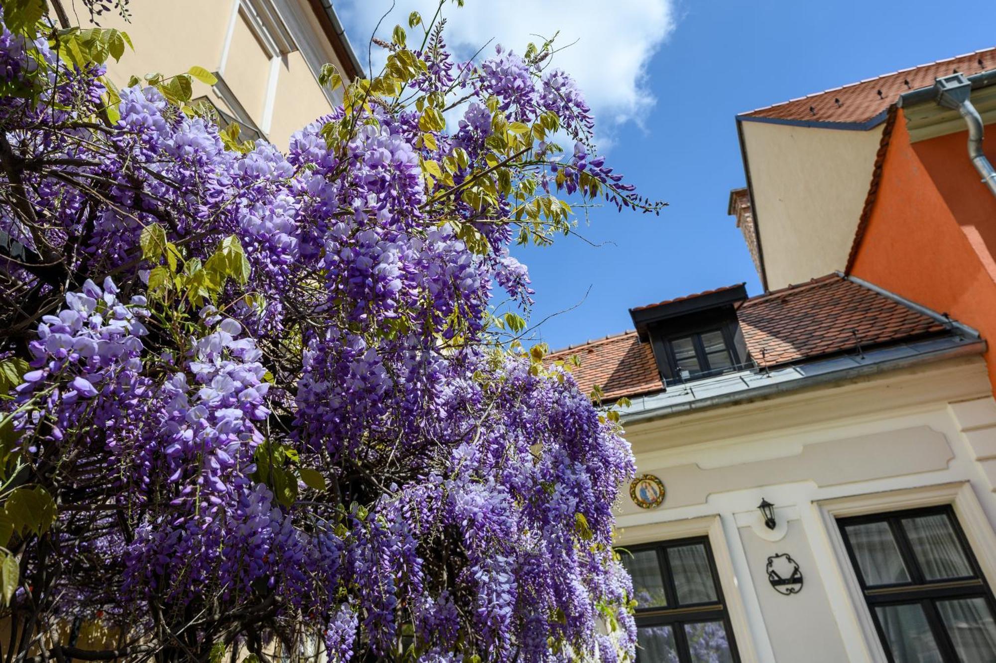 Maison Bistro & Hotel