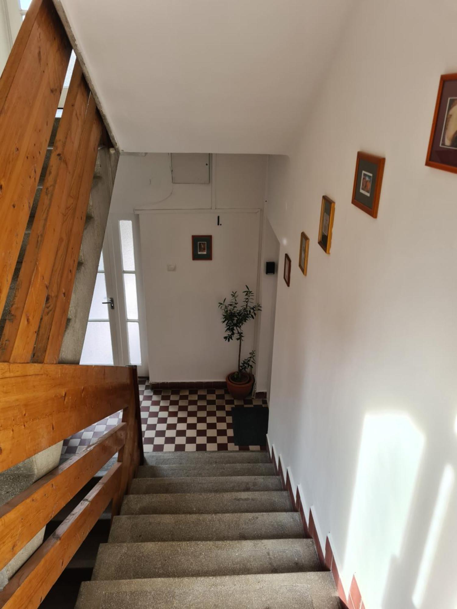Szabi Buda New Terrace