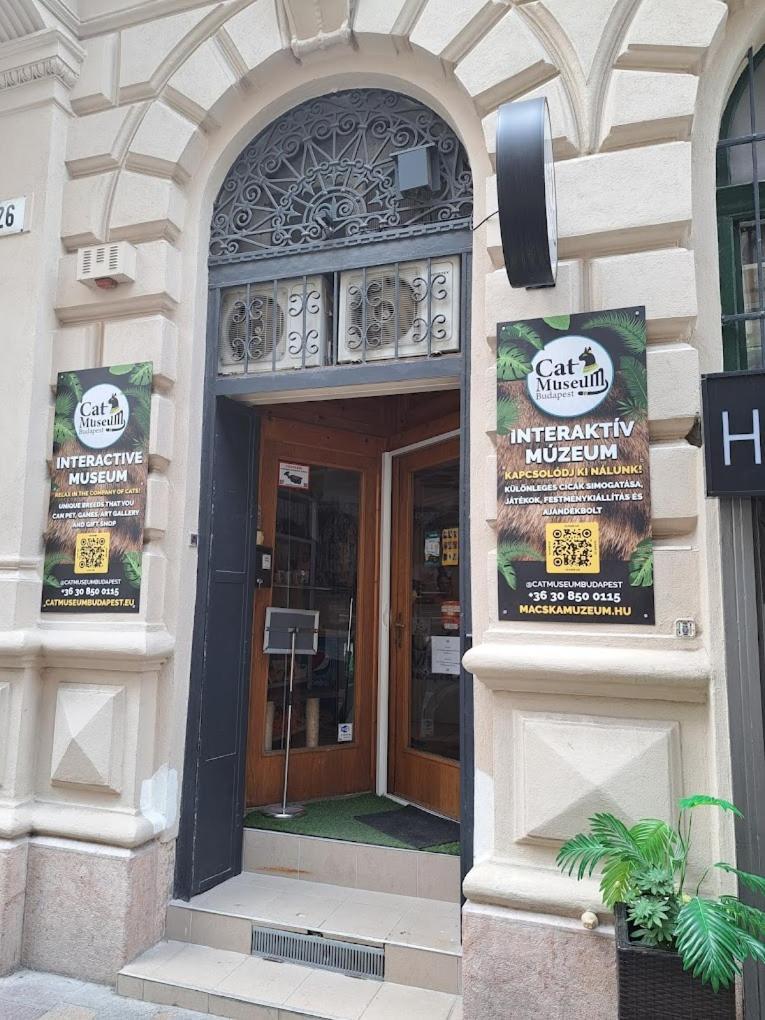Vadasz Street Apartament