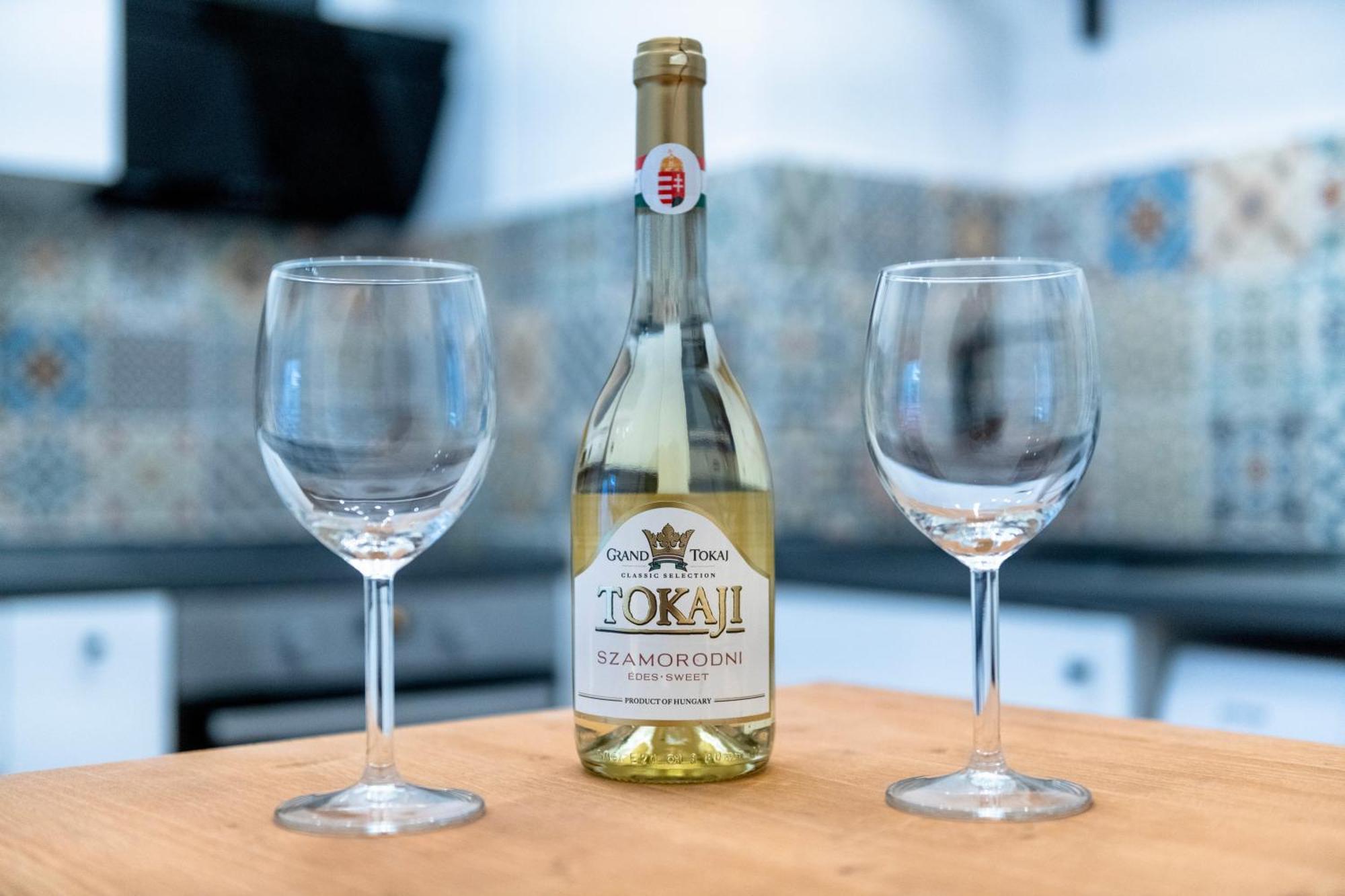 Vinitus Centro Lägenhet Budapest
