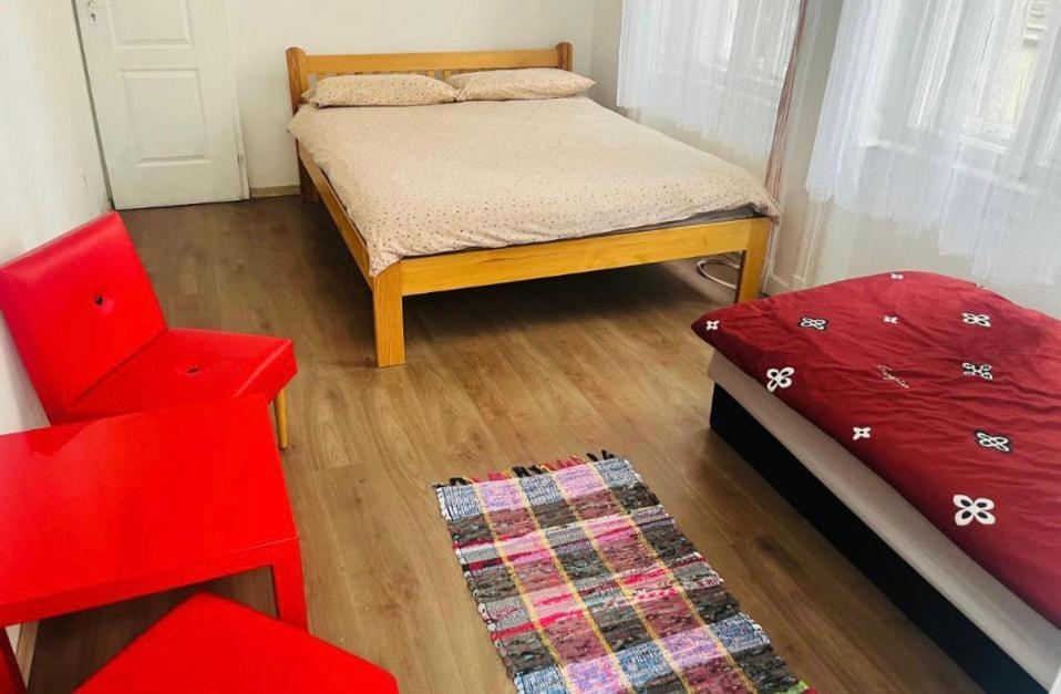 Doxie And Beds * Budapest