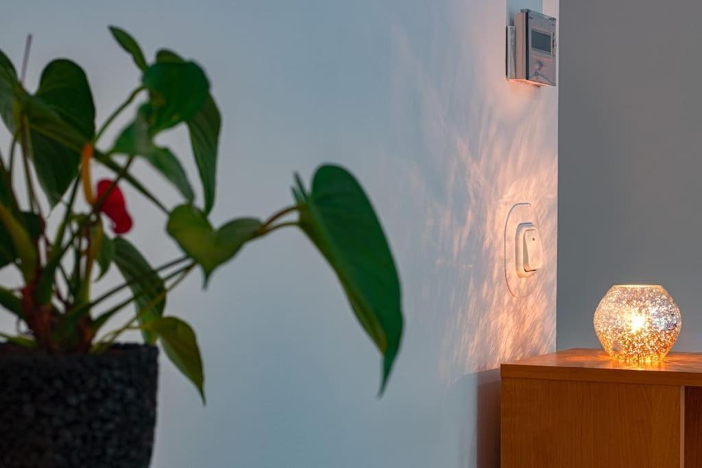 Corvin Park Apartamento