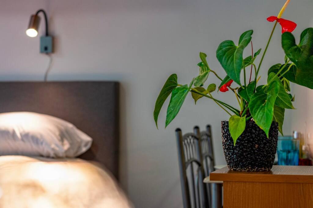 Apartamento Corvin Park *