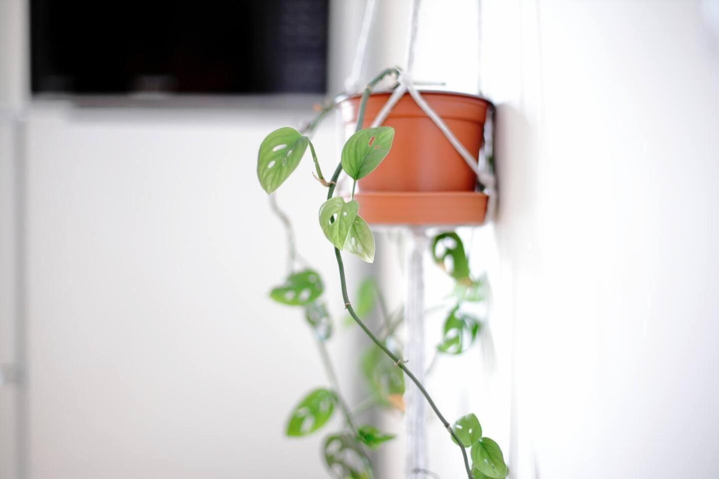Apartmán Budapestayz - Izabella Budapest