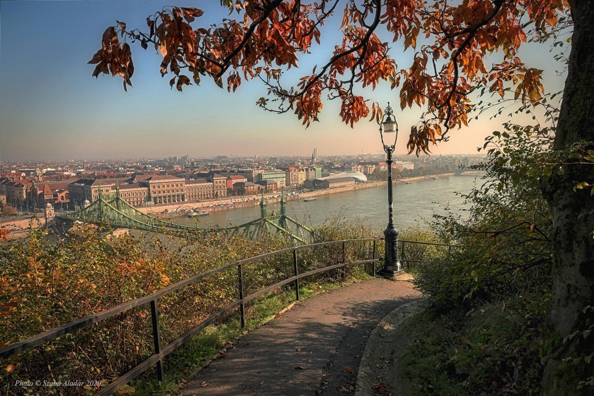 Asbóth Taylor * Budapest