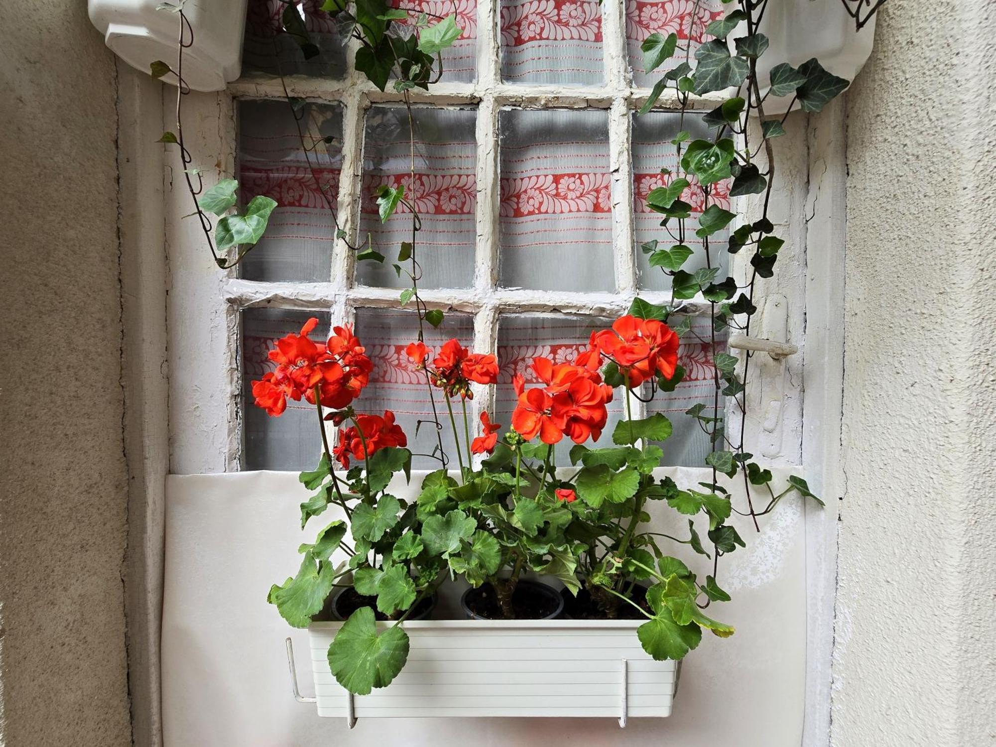 Cozy Nest Hideaway *